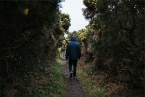 Merlin CCC | Why a Walk in the Park is Good for Our Brains