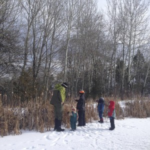 Merlin CCC | Merlin Nature Preserve | December 2015 Inaugural Little Philosopher's Walk