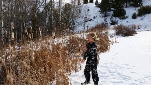 Merlin CCC | Merlin Nature Preserve | December 2015 Inaugural Little Philosopher's Walk