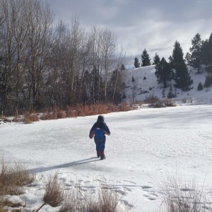 Merlin CCC | Merlin Nature Preserve | December 2015 Inaugural Little Philosopher's Walk