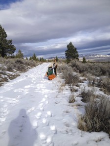 Merlin CCC | Merlin Nature Preserve | December 2015 Inaugural Little Philosopher's Walk
